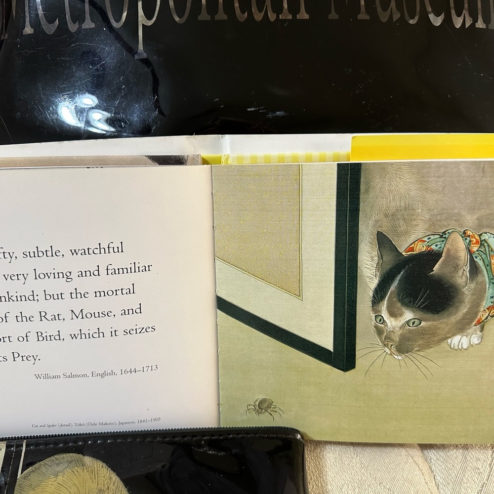 Met Bag & Pouch Featuring Catnip: Cats Of The Met - image 5